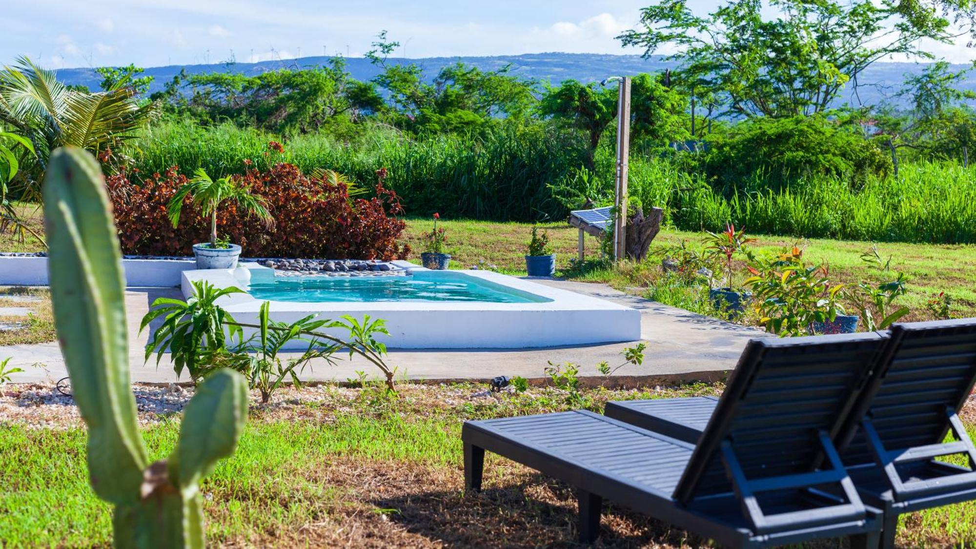 Cashaw Cabin - Private Retreat With A Pool Treasure Beach Exterior foto